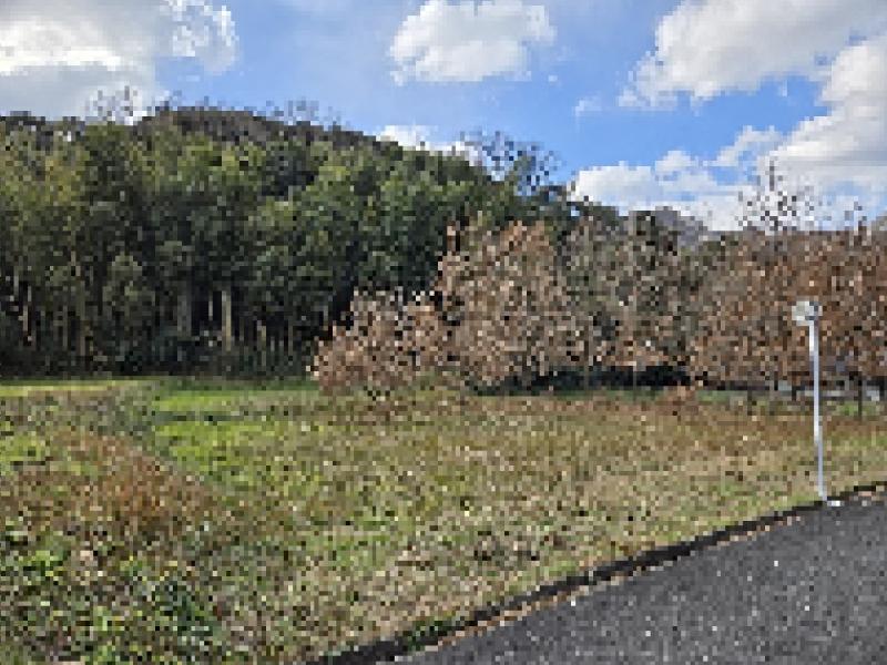 沖縄県宮古島市の行政書士