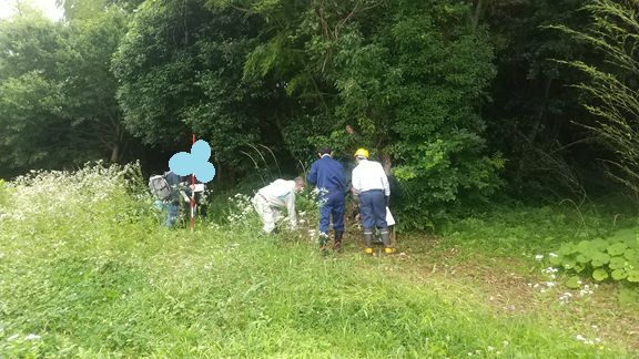沖縄県宮古島市の行政書士