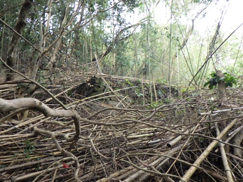 沖縄県宮古島市の行政書士
