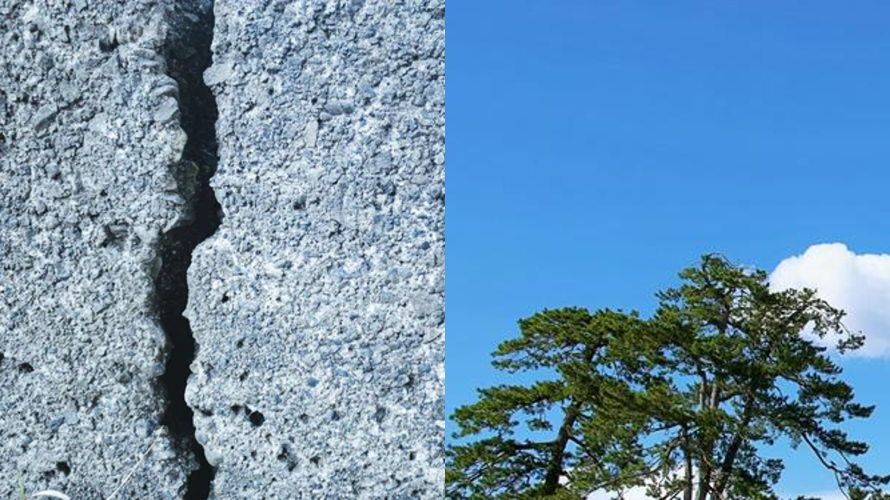 沖縄県宮古島市の行政書士