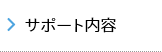 サポート内容