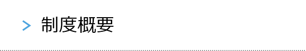 制度概要